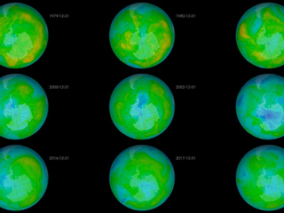 Video: Ozone Watch 2018